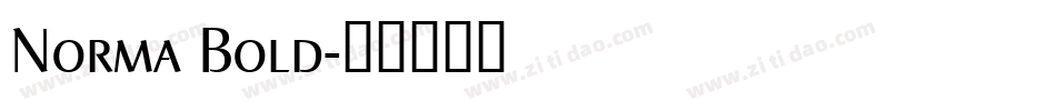 Norma Bold字体转换